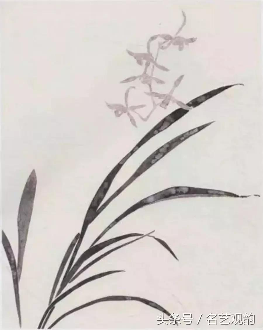 中国画技法之没骨画法的经典范画,没骨画法和写意画的区别