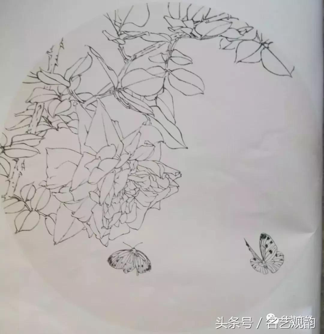 中国画技法之没骨画法的经典范画,没骨画法和写意画的区别