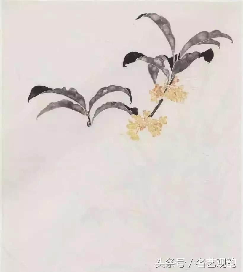 中国画技法之没骨画法的经典范画,没骨画法和写意画的区别