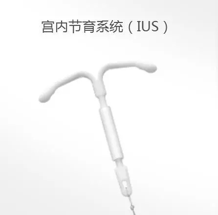 避孕日是每年的几月几日,世界避孕日历年主题