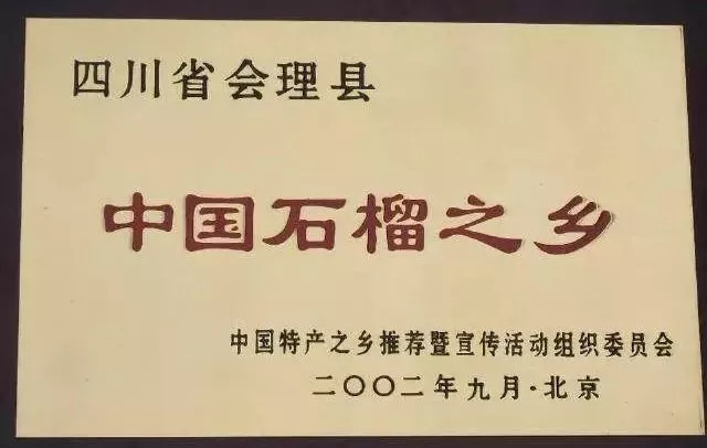 红润有食欲，一咬就爆汁，不用吐籽的突尼斯软籽石榴，甜滋滋货比十几家后，我们帮你选了这个