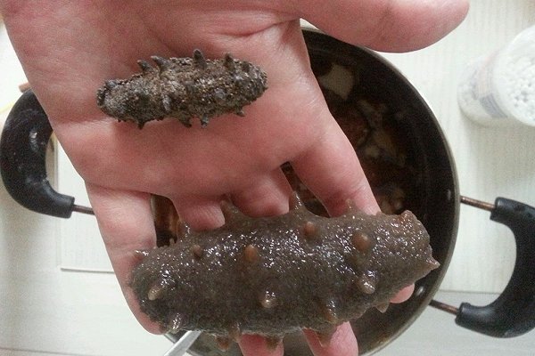 海参的做法炒面,又香又鲜的海参的做法