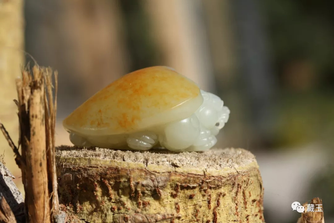 玉雕龙龟价格表,玉雕龙龟