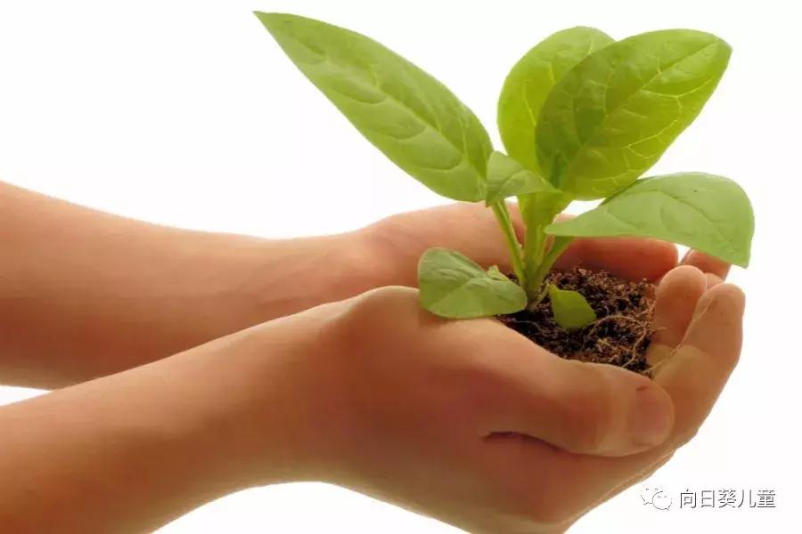 神经母细胞瘤gd2抗体维持治疗费用,神经母细胞瘤特效免疫药多少钱