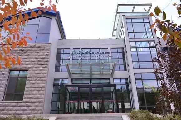 今天起，烟台这些东西统统免费！不知道你就亏大了！