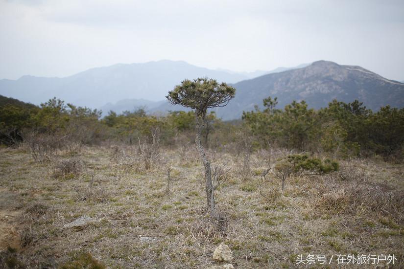 将轻量化进行到底——20L背包的千八雪地露营