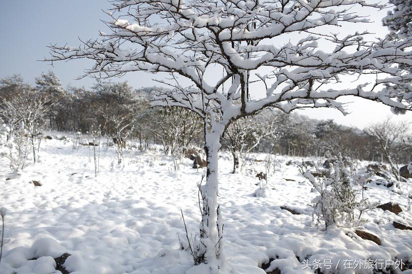 将轻量化进行到底——20L背包的千八雪地露营
