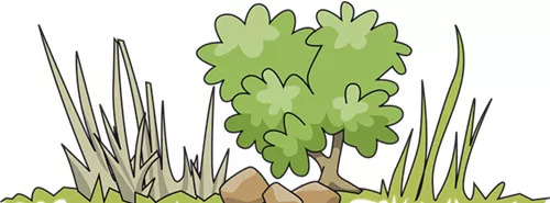 宁夏塞上新五宝,砥砺奋进六十载塞上宁夏谱新篇