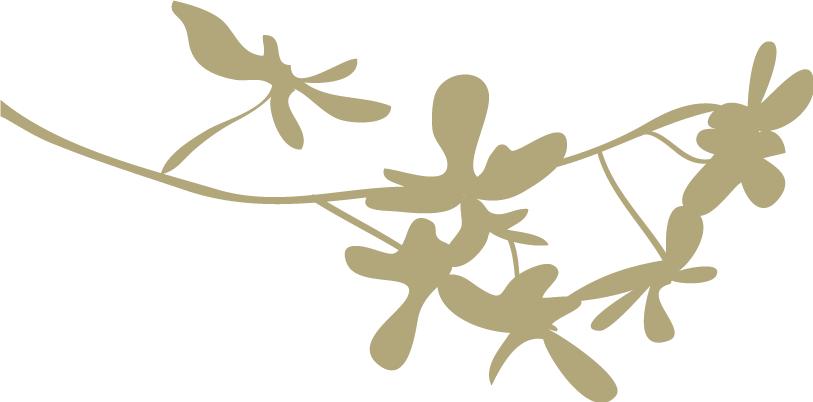 自贡最早的班车,自贡最早的公交车时间表