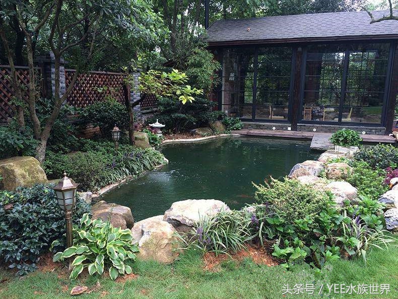 鱼缸摆放位置风水讲究正对门,摆放鱼缸养鱼跟风水真有关系吗