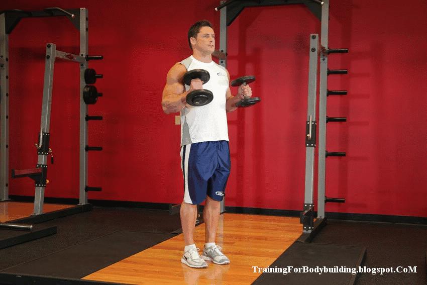 新手哑铃健身一周训练计划,新人健身房健身一周训练计划