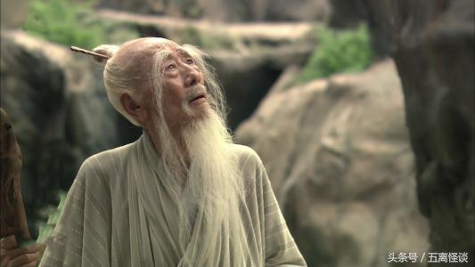 凤凰非梧桐不栖是个什么样的传说,凤凰是怎么栖于梧桐树的