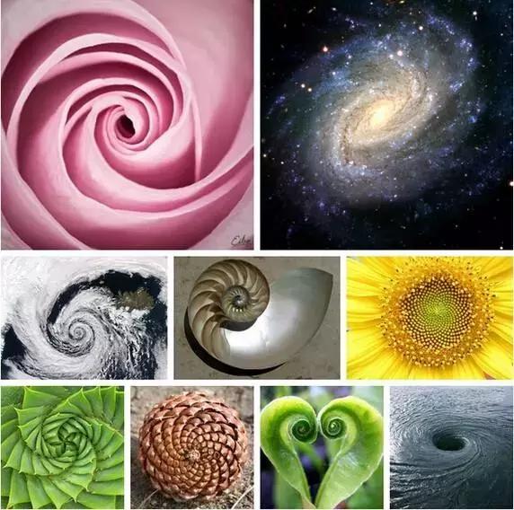 绁炲湥鍑犱綍璁茶В瑙嗛,绁炲湥鍑犱綍濡備綍杩愮敤