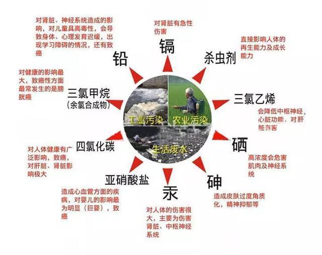 kchala活丽滋引领沐浴潮流，打造能喝的洗澡水