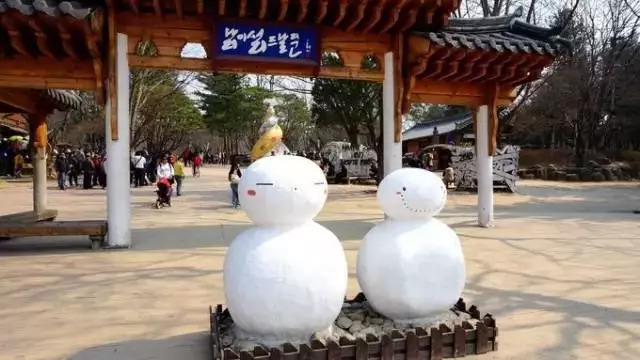 护照过期签证会失效吗,护照签证过期后怎么往返