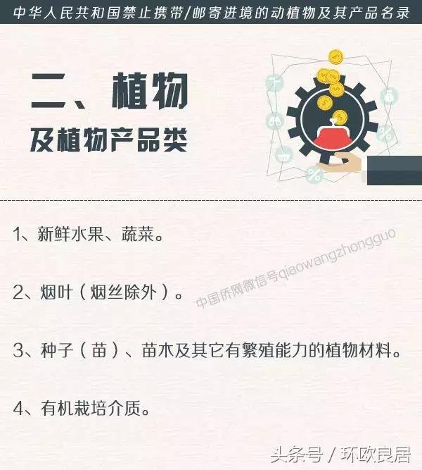 海关对出境携带金银及制品的规定,海关提醒出境游