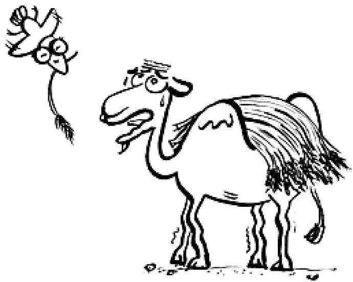 水滴时评：歇了吧新势力，要有果敢止血的勇气