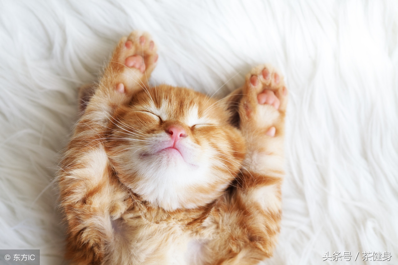 打鼾呼吸暂停怎么治疗,打鼾导致呼吸暂停怎么治疗