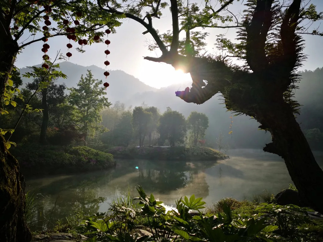 铜鼓汤里温泉是真温泉么,世外桃源温泉度假村