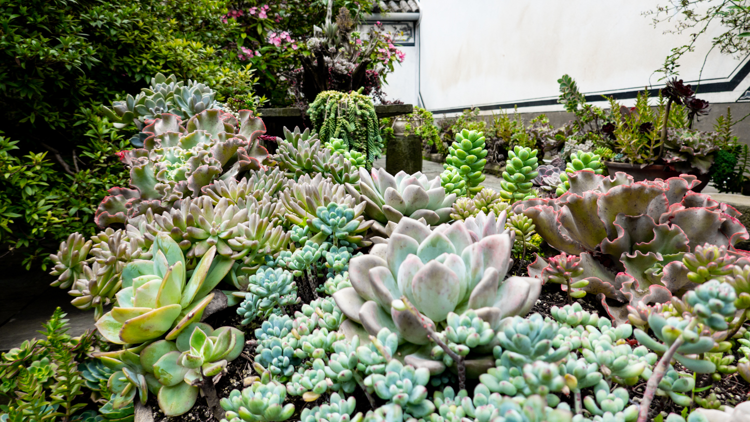 玩转云南大理攻略图片大全,大理玩转一周洱海攻略