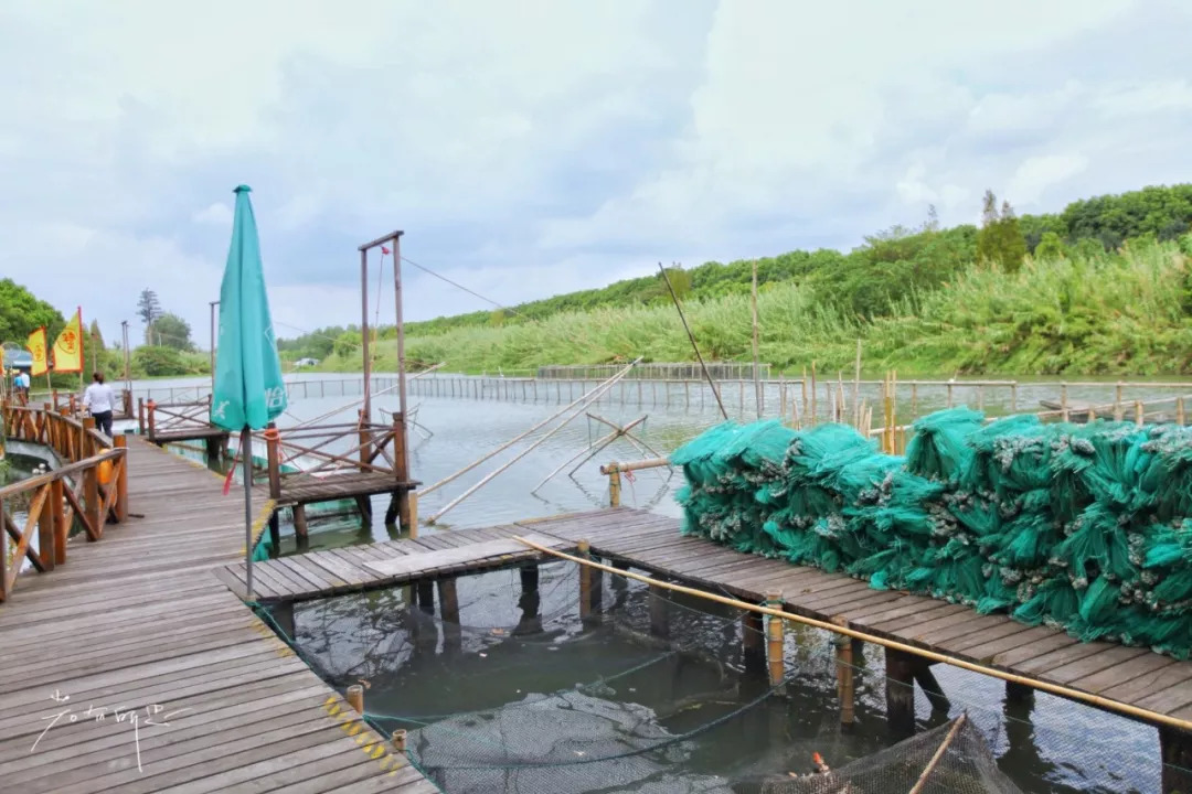 沙家浜二日游旅游攻略,沙家浜春节一日游攻略