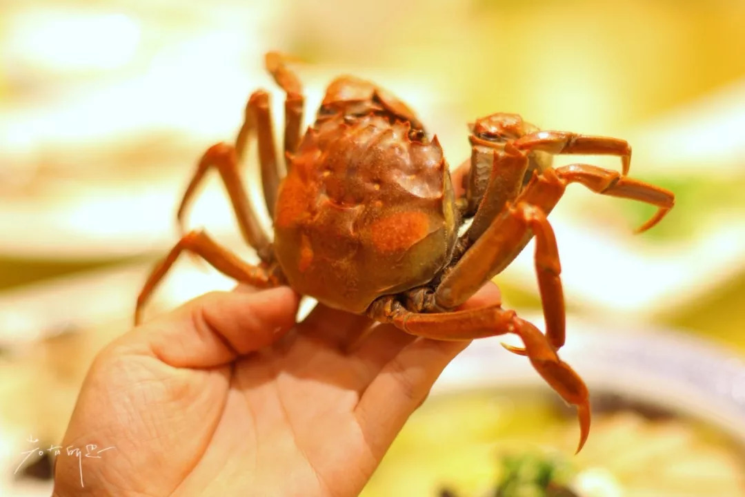 沙家浜二日游旅游攻略,沙家浜春节一日游攻略