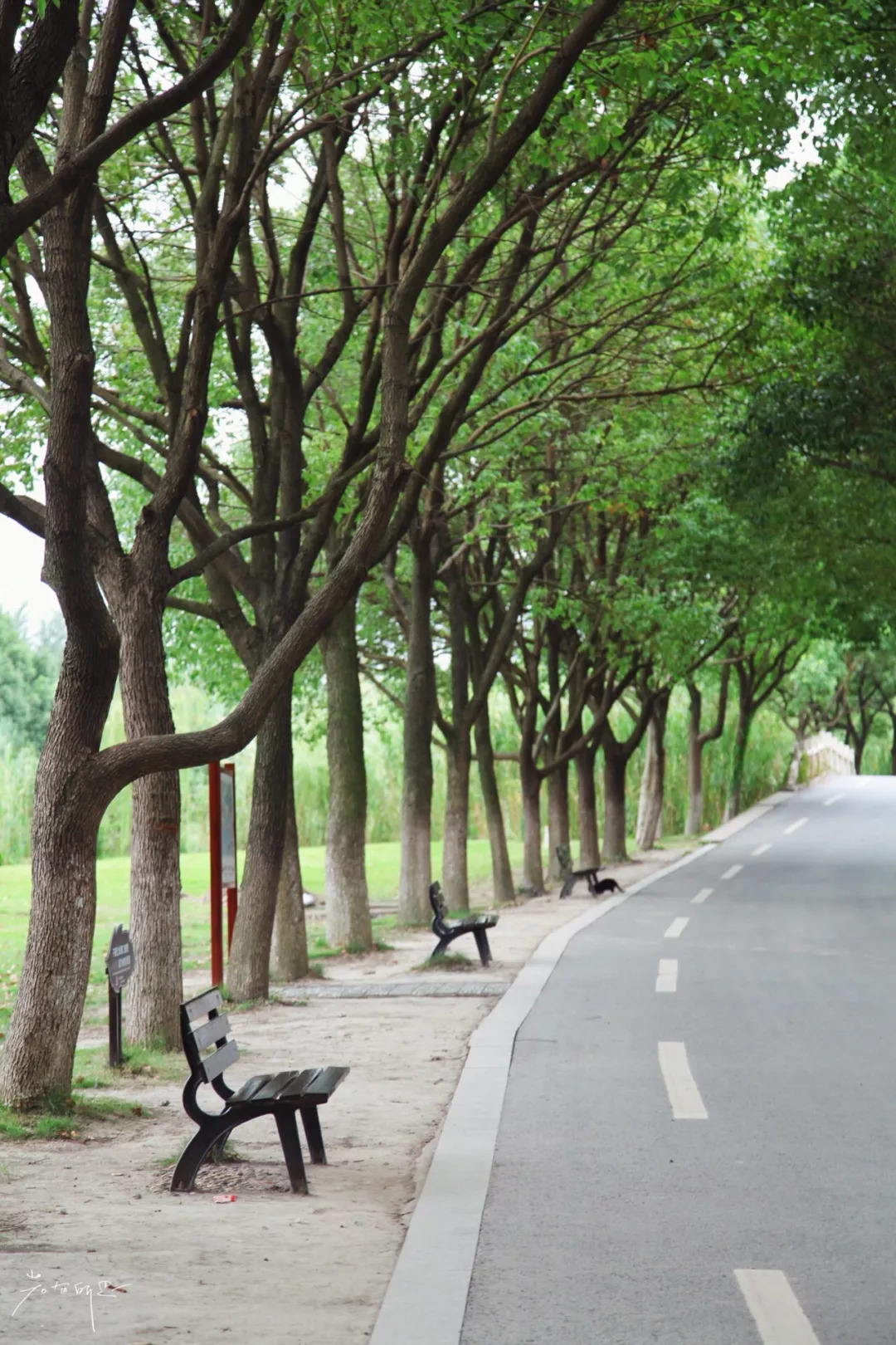 沙家浜二日游旅游攻略,沙家浜春节一日游攻略