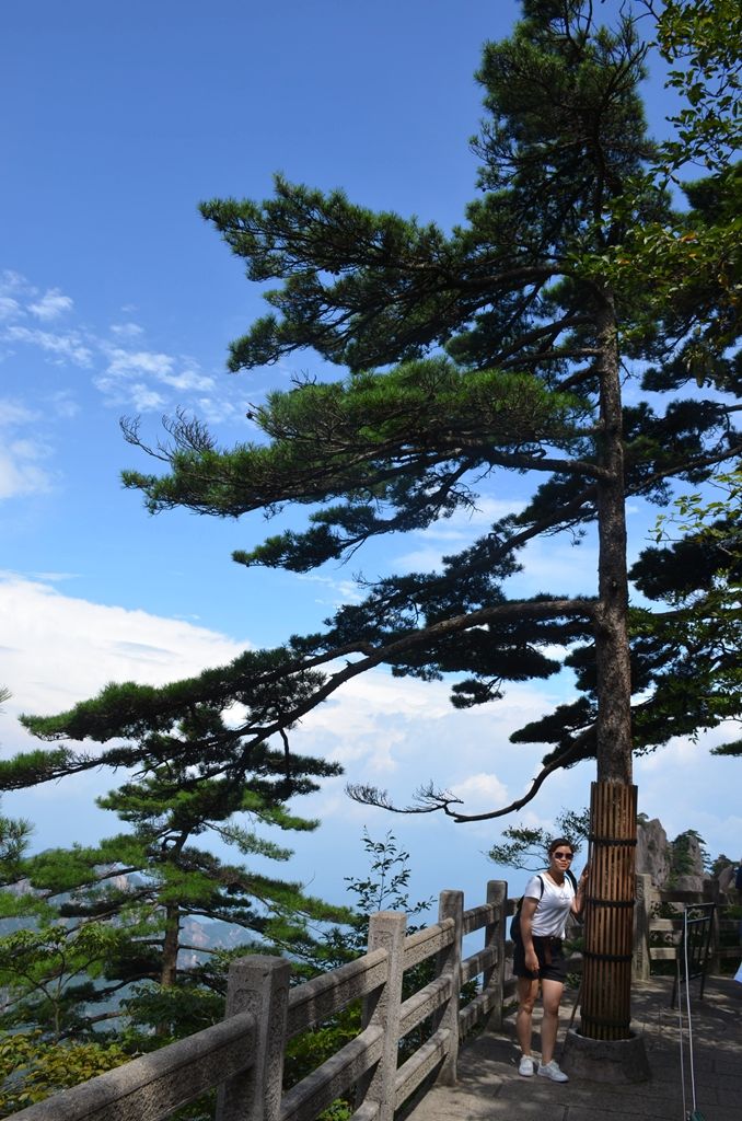 八月的黄山风景,独一无二的一品黄山