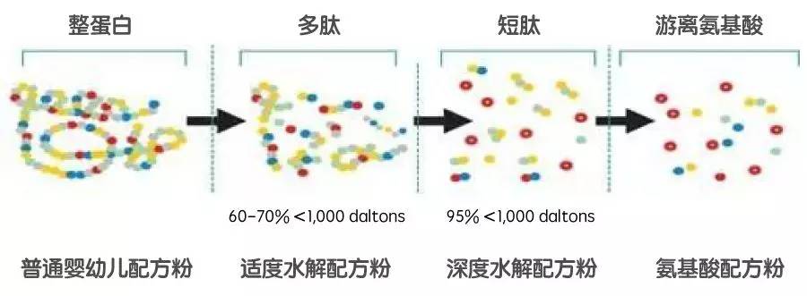 宝宝牛奶过敏会出现哪些问题,宝宝牛奶过敏一般什么时候出现