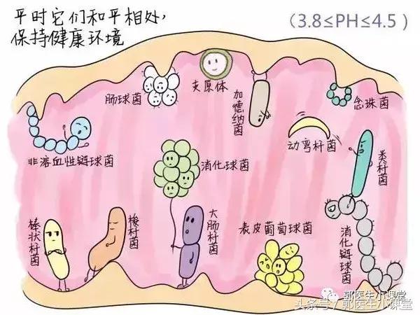 怎样提高免疫力远离妇科炎症,远离妇科炎症运动