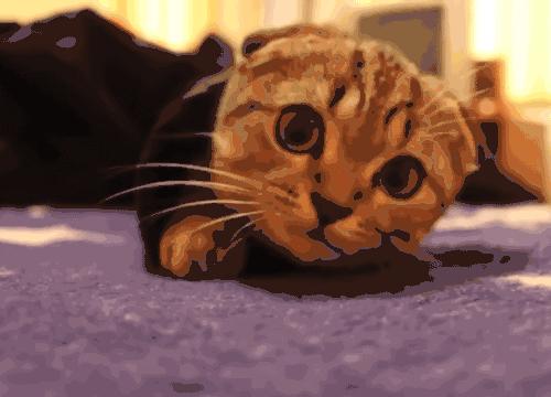 山竹台风对云南会有影响吗,山竹台风进入云南路径