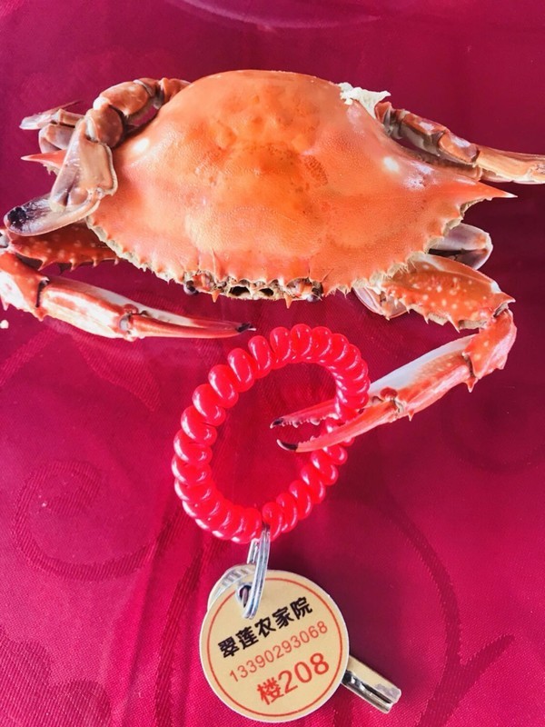 海的味道英语,海的味道男声