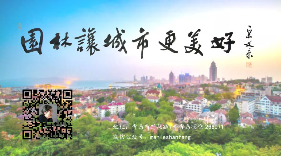 家庭玫瑰养殖方法和关注事项,家庭插花玫瑰怎么养才会爆花
