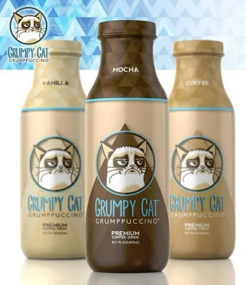 今天给你们看看那些闲得要命、富得流油的猫！