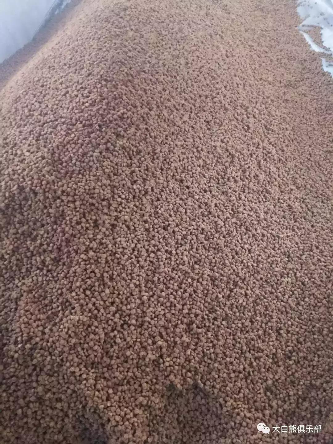 网上购买狗粮怎么辨别是否安全,网购狗粮的危害