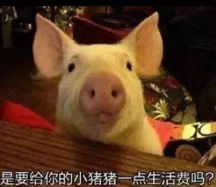 当年，你大学的伙食费每个月有多少？南宁大学生每个月都2000了？