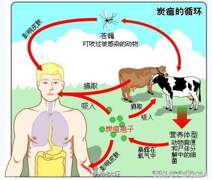 养牛跟我学第一篇第二章第二节
