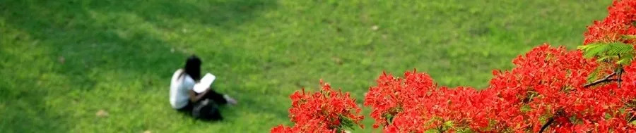 华南农业大学研究生官网招生信息,华南农业大学官网研究生招生简章