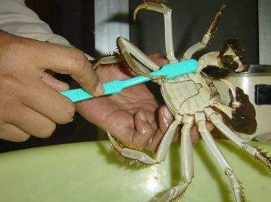 水产老板杀螃蟹,水产老板爱挑刺