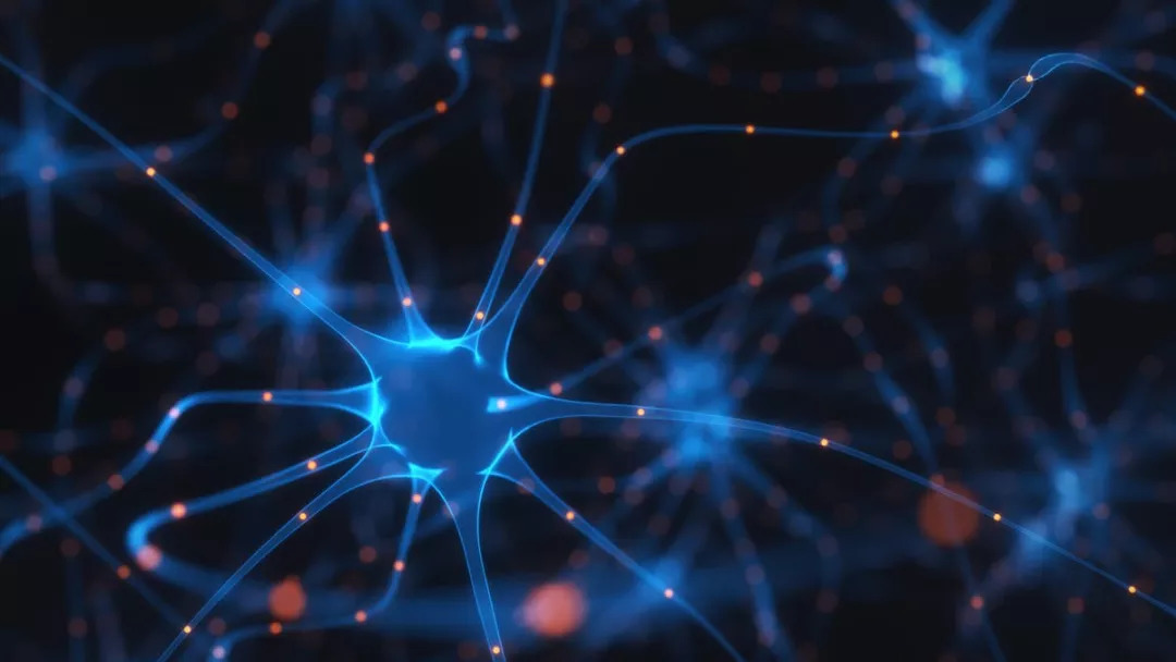 多动儿童生酮饮食法,多动症和吃得多有关系吗