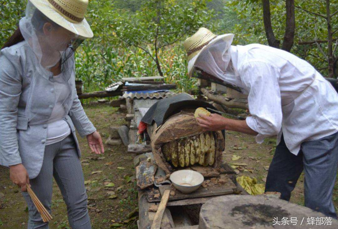 你天天吵着要吃的土蜂蜜，或许质量远远低于你天天喷的意蜂蜜