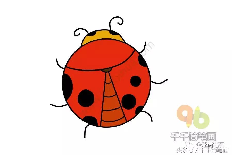 画画教学简笔画圆形的动物,圆形动物小乌龟简笔画