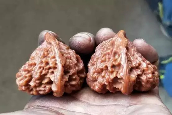 文玩核桃先挂瓷还是先包浆,文玩核桃纯刷能包浆玉化吗