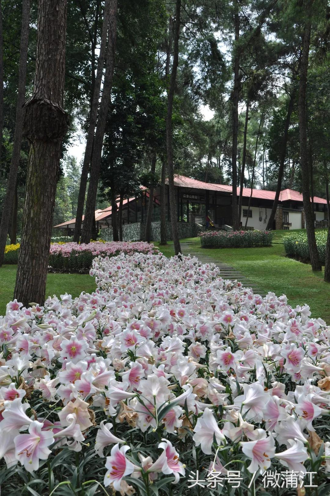 赏花、骑马、赛车、游湖……中秋来石象湖样样都精彩！