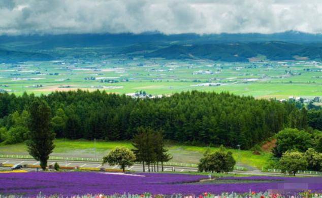 中国有人“买了”日本北海道土地？还竖起牌子不让当地人进入！