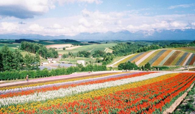 中国有人“买了”日本北海道土地？还竖起牌子不让当地人进入！