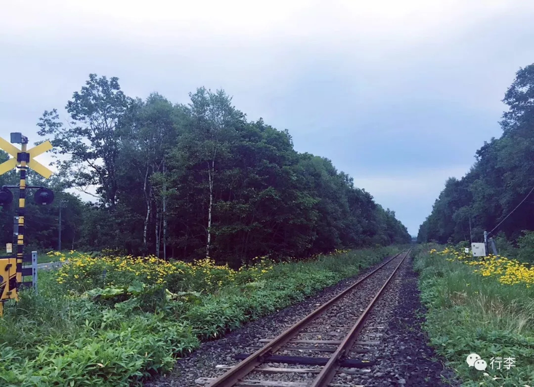 行李︱老艾：只要活着，谁不在路上