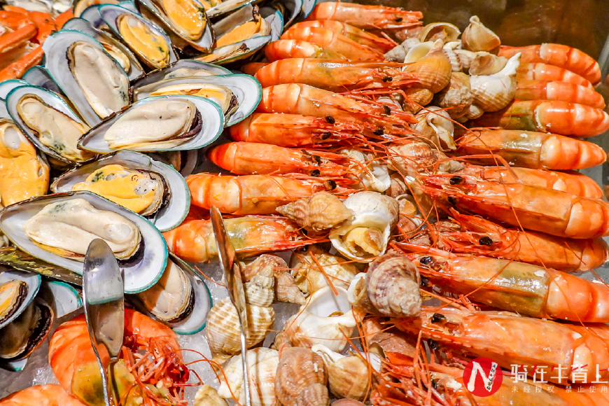 全世界第一高蹦极,世界蹦极最高1000米