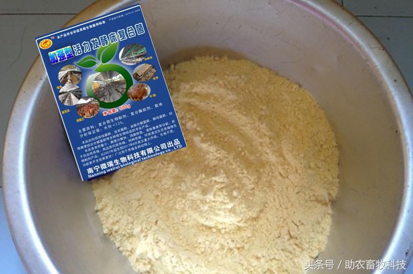 阳台养鸡发酵床关注事项,夏天阳台养鸡用发酵床养鸡可以吗
