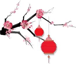 史上最大福利｜元素骨肽来喽，还买二送一，还送油哦~